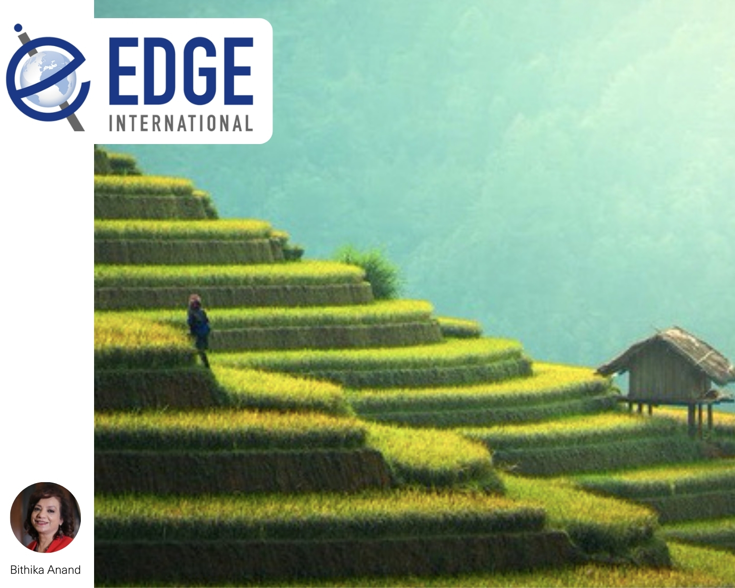 Driving Growth and Sustenance in Competitive Economies